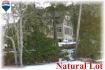 146 Bayshore Rd, Apsley Ontario