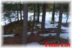 146 Bayshore Rd, Apsley Ontario