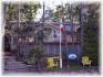 21 Pine Point Rd, Apsley Ontario