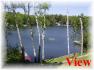Doc Evans Road, Apsley Ontario