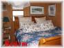186 Bayshore Rd, Apsley Ontario