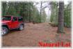 186 Bayshore Rd, Apsley Ontario