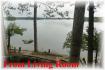 186 Bayshore Rd, Apsley Ontario