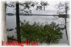 186 Bayshore Rd, Apsley Ontario