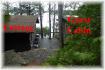 186 Bayshore Rd, Apsley Ontario