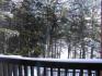 47 Impala Hills, North Kawartha Ontario