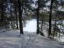 47 Impala Hills, North Kawartha Ontario