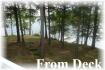 34 Moffat Rd, Apsley Ontario