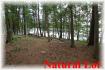 750 Island 20, Apsley Ontario
