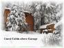 225 Gazelle Trail, Apsley Ontario