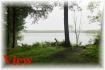83 Loon Echo Lane, Apsley Ontario