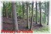 83 Loon Echo Lane, Apsley Ontario
