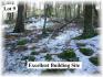 Jack Lake Estates, Apsley Ontario