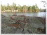 265 Fire Route 57, Apsley Ontario