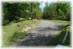 134 Fr 85d, Apsley Ontario