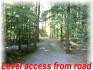 98 Pleasant Point, Apsley Ontario