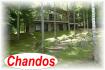 321 Antelope Trail, Apsley Ontario