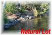 321 Antelope Trail, Apsley Ontario