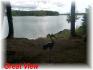 Fr 51, Apsley Ontario