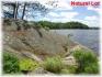 64 Fire Route 87b, Apsley Ontario