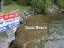 190 Blue Herron Lane, North Kawartha Ontario