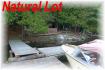560 Griggs Island, Apsley Ontario