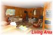 560 Griggs Island, Apsley Ontario