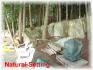 20 fr 89b, Apsley Ontario, Canada