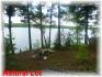 175 Spence Rd, Apsley Ontario