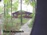 282  Doc Evans Road, North Kawartha Ontario