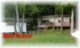 390 Walkes Road, Apsley Ontario