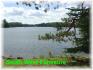 1682 Fire Route 85, Apsley Ontario