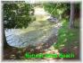 1682 Fire Route 85, Apsley Ontario