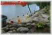 64 Tanner Bay Lane, Apsley Ontario