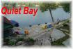 64 Tanner Bay Lane, Apsley Ontario