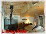 294 mccauley road, Apsley Ontario, Canada