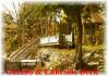 155 Woods Bay, Apsley Ontario