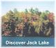 121 Fire Route 89b, Apsley Ontario