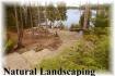 Springbok Drive Chnados Estates, Apsley Ontario