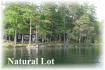 72 Island #19 Jack Lake, Apsley Ontario
