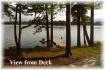 72 Island #19 Jack Lake, Apsley Ontario