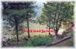 40 coularmfield lane, Apsley Ontario, Canada
