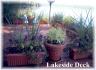 40 coularmfield lane, Apsley Ontario, Canada