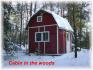 country road #504, Apsley Ontario, Canada
