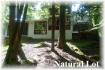 398 Fitch Lane, Apsley Ontario
