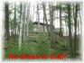 399 Antelope Trail, Apsley Ontario