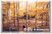 399 Antelope Trail, Apsley Ontario