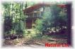 399 Antelope Trail, Apsley Ontario