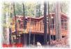 399 Antelope Trail, Apsley Ontario