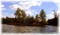 10 Island # 5 Jack Lake, Apsley Ontario